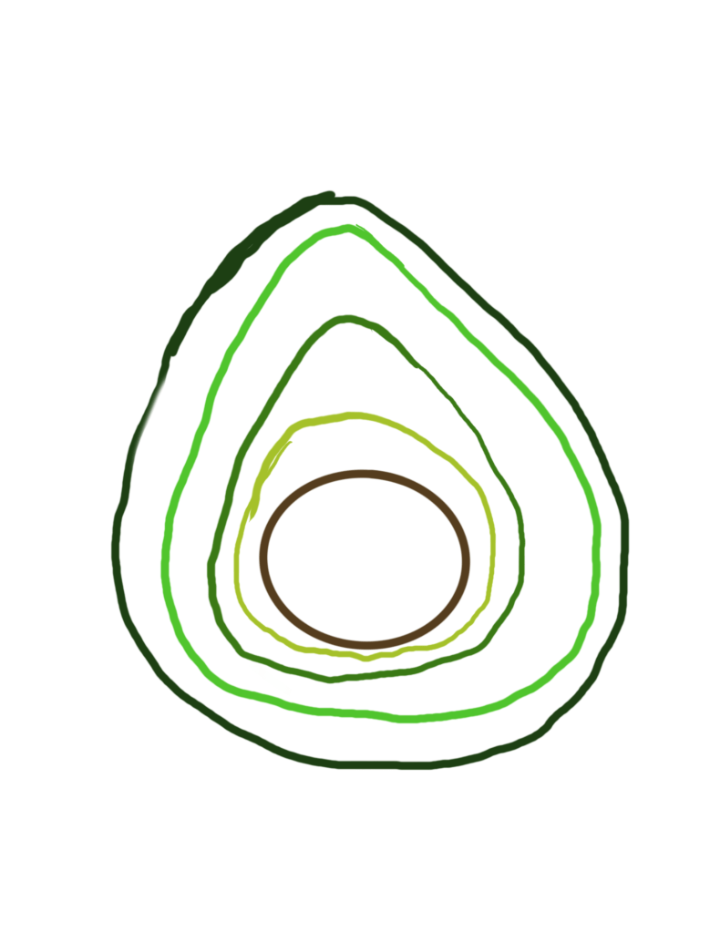 A stylized avocado illustration made up of layered contour lines in various shades of green and brown, creating a minimalist and abstract effect.